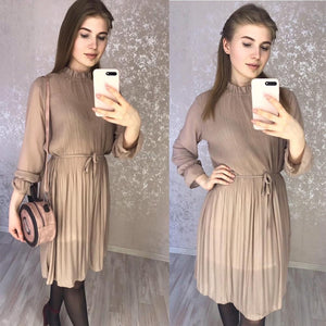 Chiffon Pleated Dress